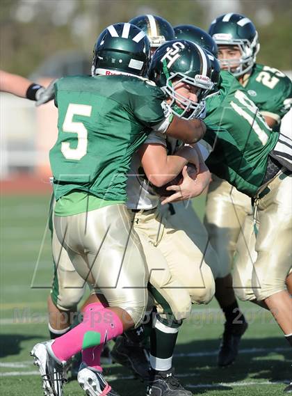 Thumbnail 2 in South Hills @ Damien photogallery.