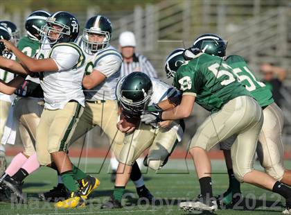 Thumbnail 2 in South Hills @ Damien photogallery.