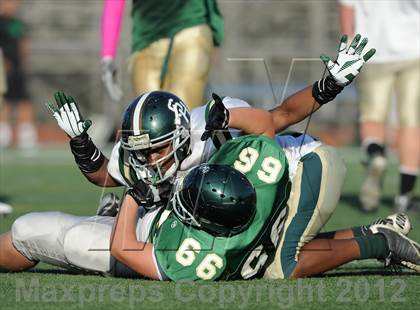 Thumbnail 3 in South Hills @ Damien photogallery.