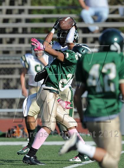 Thumbnail 3 in South Hills @ Damien photogallery.