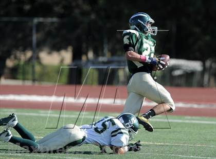 Thumbnail 1 in South Hills @ Damien photogallery.