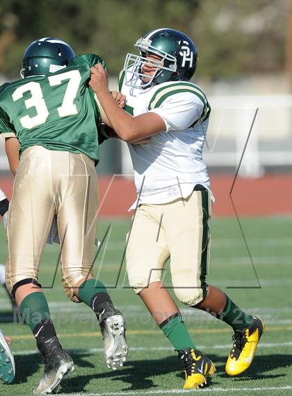 Thumbnail 2 in South Hills @ Damien photogallery.
