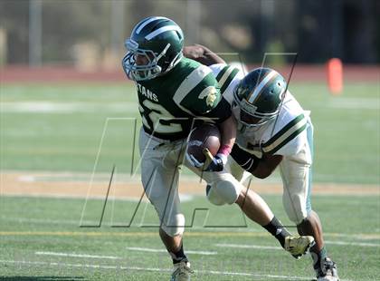 Thumbnail 1 in South Hills @ Damien photogallery.