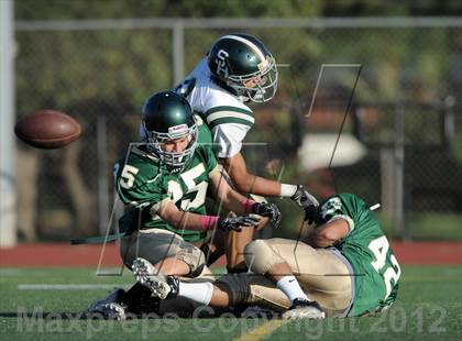 Thumbnail 1 in South Hills @ Damien photogallery.