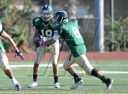 Thumbnail 2 in South Hills @ Damien photogallery.