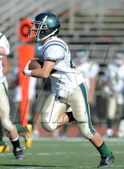 Thumbnail 3 in South Hills @ Damien photogallery.