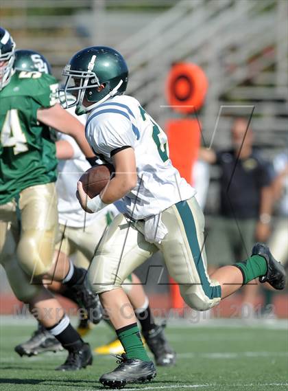 Thumbnail 1 in South Hills @ Damien photogallery.