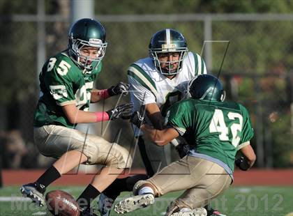 Thumbnail 2 in South Hills @ Damien photogallery.