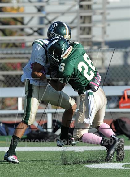 Thumbnail 2 in South Hills @ Damien photogallery.