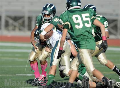 Thumbnail 3 in South Hills @ Damien photogallery.