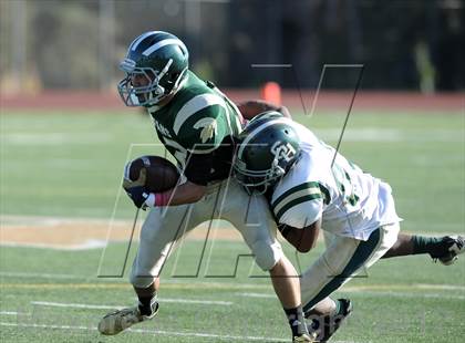 Thumbnail 2 in South Hills @ Damien photogallery.