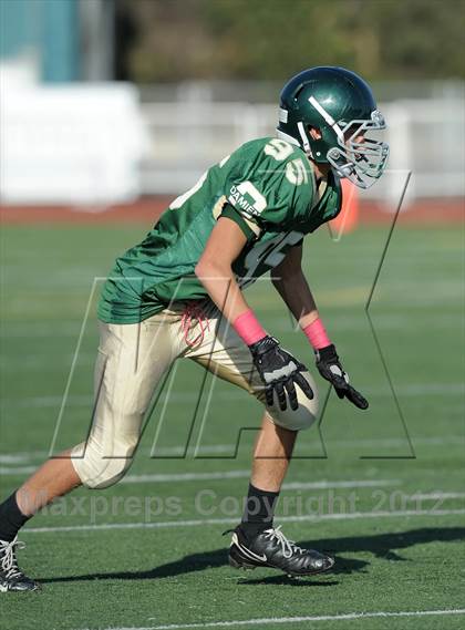 Thumbnail 1 in South Hills @ Damien photogallery.