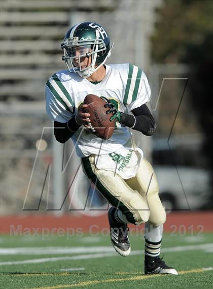 Thumbnail 2 in South Hills @ Damien photogallery.