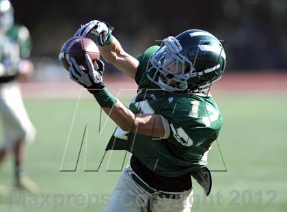 Thumbnail 1 in South Hills @ Damien photogallery.