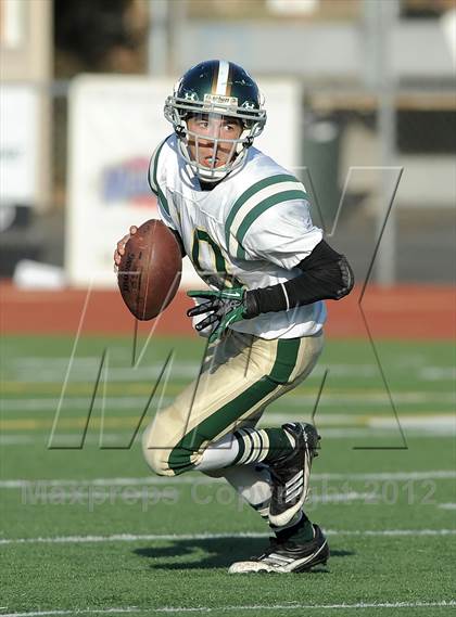 Thumbnail 2 in South Hills @ Damien photogallery.