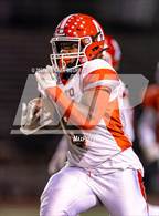 Photo from the gallery "Arroyo @ American"