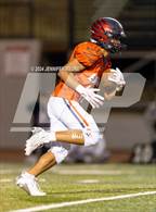 Photo from the gallery "Arroyo @ American"