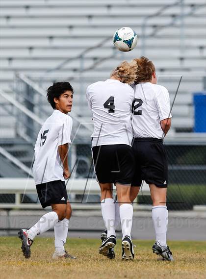 Thumbnail 3 in Jesuit vs. Plant   photogallery.