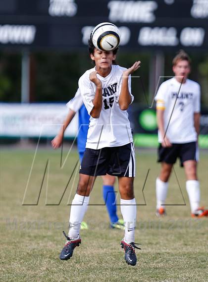 Thumbnail 3 in Jesuit vs. Plant   photogallery.