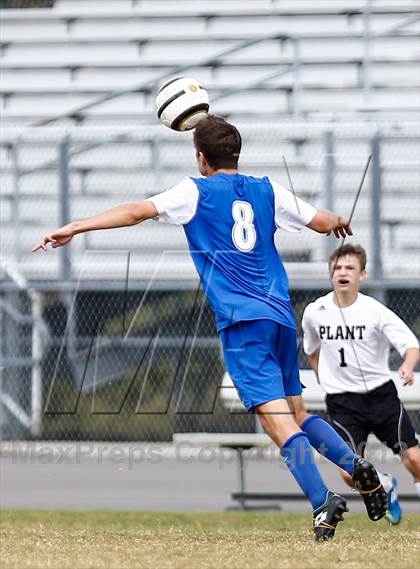 Thumbnail 2 in Jesuit vs. Plant   photogallery.