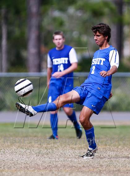 Thumbnail 3 in Jesuit vs. Plant   photogallery.