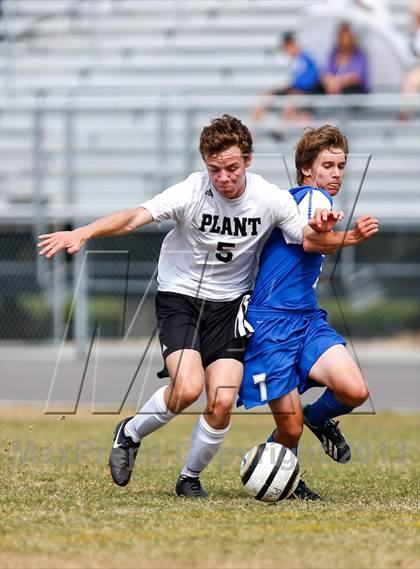 Thumbnail 3 in Jesuit vs. Plant   photogallery.