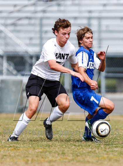 Thumbnail 1 in Jesuit vs. Plant   photogallery.