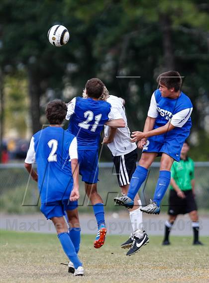 Thumbnail 1 in Jesuit vs. Plant   photogallery.