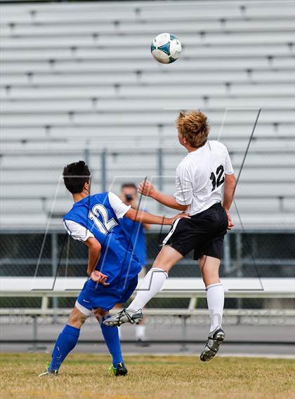 Thumbnail 3 in Jesuit vs. Plant   photogallery.