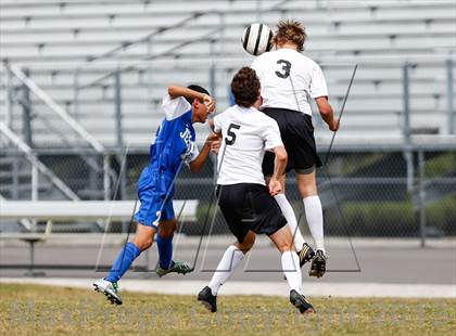 Thumbnail 1 in Jesuit vs. Plant   photogallery.