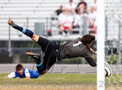 Thumbnail 2 in Jesuit vs. Plant   photogallery.