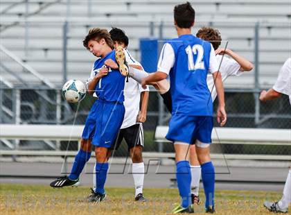 Thumbnail 1 in Jesuit vs. Plant   photogallery.