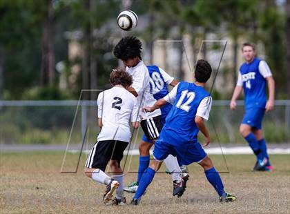 Thumbnail 3 in Jesuit vs. Plant   photogallery.