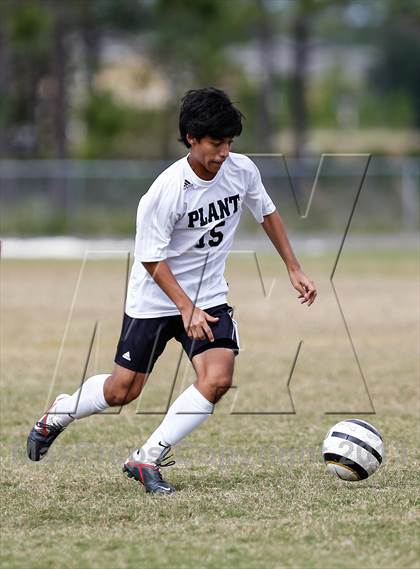 Thumbnail 3 in Jesuit vs. Plant   photogallery.