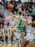 Photo from the gallery "Tumwater @ Timberline"