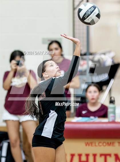 Thumbnail 3 in Vista del Lago @ Whitney photogallery.