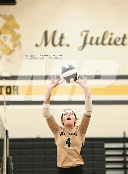 Thumbnail 1 in McGavock @ Mount Juliet photogallery.