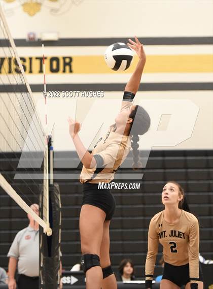 Thumbnail 1 in McGavock @ Mount Juliet photogallery.