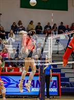 Photo from the gallery "Lincoln @ Juanita"