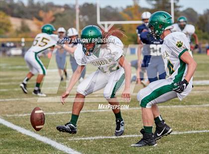 Thumbnail 1 in Sonora @ Amador photogallery.