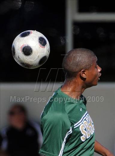 null - Photo 01