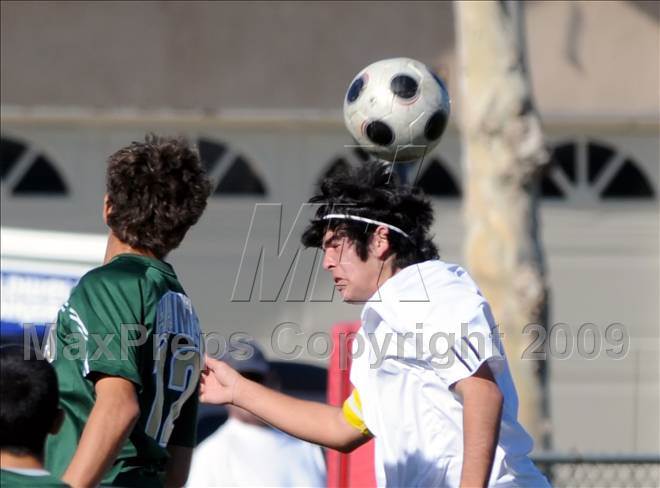 null - Photo 31