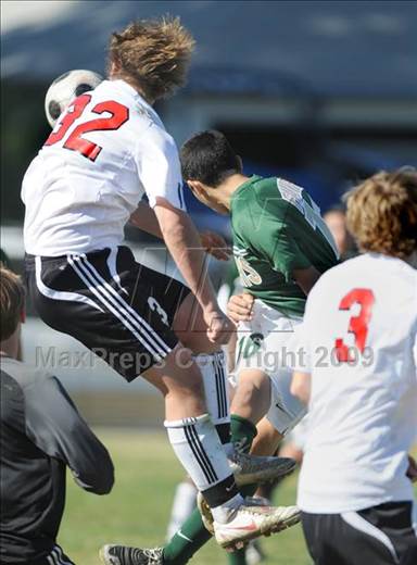 null - Photo 21