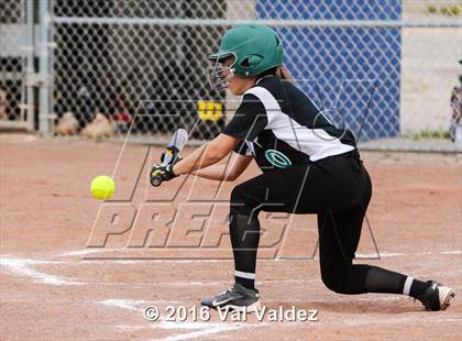 Thumbnail 2 in Tanque Verde @ Pueblo photogallery.