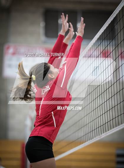 Thumbnail 2 in Chico @ Foothill  photogallery.