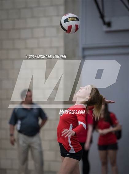 Thumbnail 1 in Chico @ Foothill  photogallery.