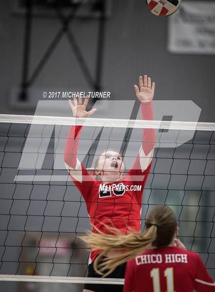 Thumbnail 1 in Chico @ Foothill  photogallery.