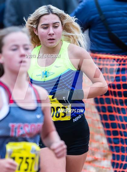 Thumbnail 2 in CIF State Cross Country Championships (Girls D1 Race) photogallery.