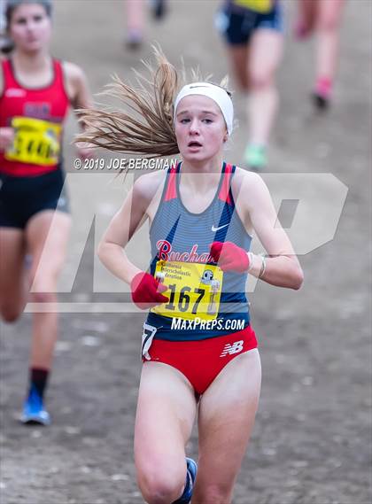 Thumbnail 1 in CIF State Cross Country Championships (Girls D1 Race) photogallery.