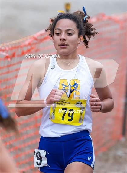 Thumbnail 1 in CIF State Cross Country Championships (Girls D1 Race) photogallery.